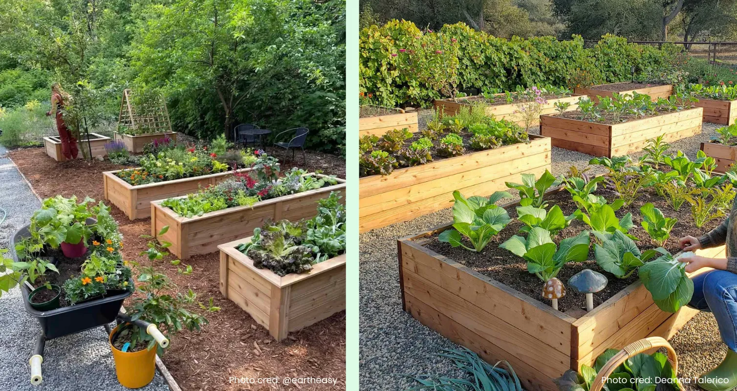 Concept art of future garden