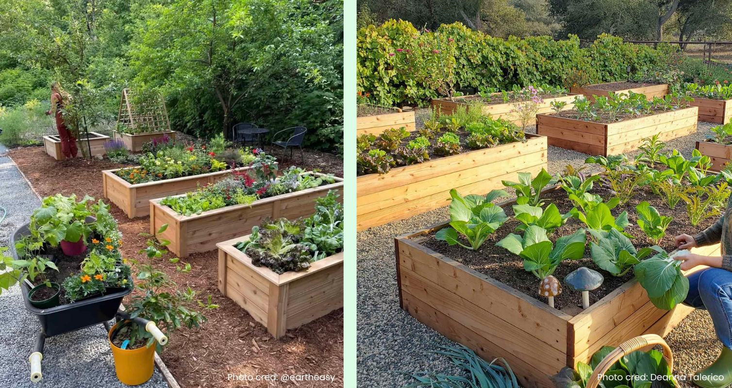 Concept art of future garden